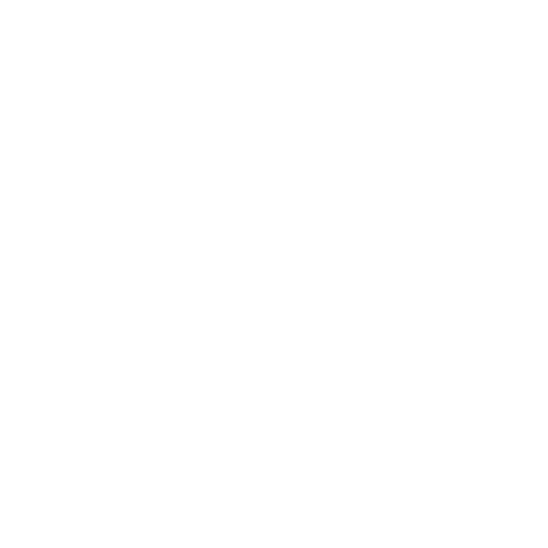 Fashion Queens